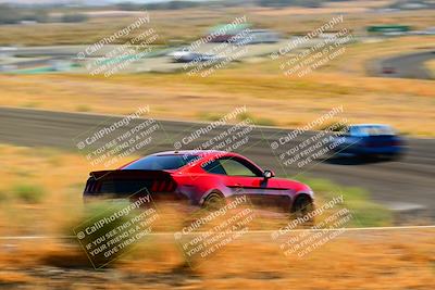 media/Sep-25-2024-Open Track Racing (Wed) [[e97609b8b7]]/Blue Group/Session 2 (Turn 5)/